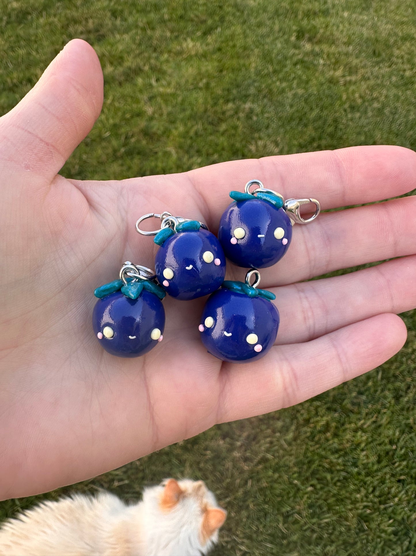Blueberries