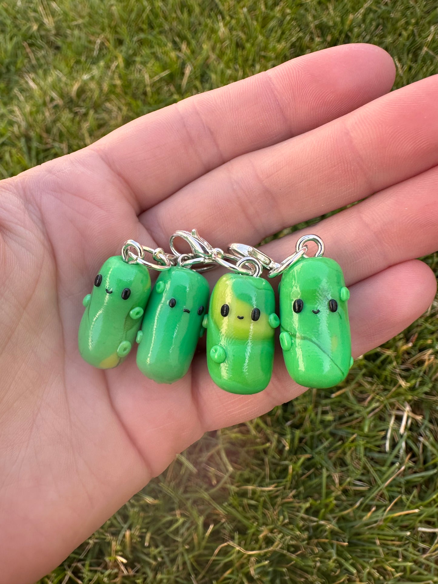 Pickles V1